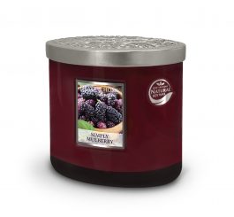 2 Wick Ellipse Candle - Simply Mulberry