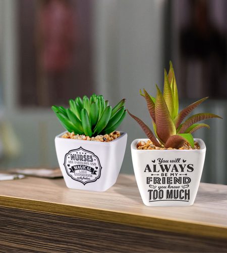 Sentiment Succulents