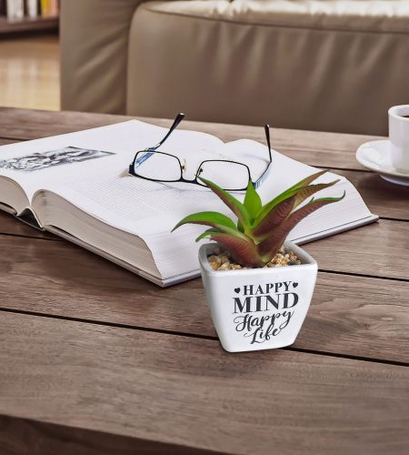 Sentiment Succulents - Image 3