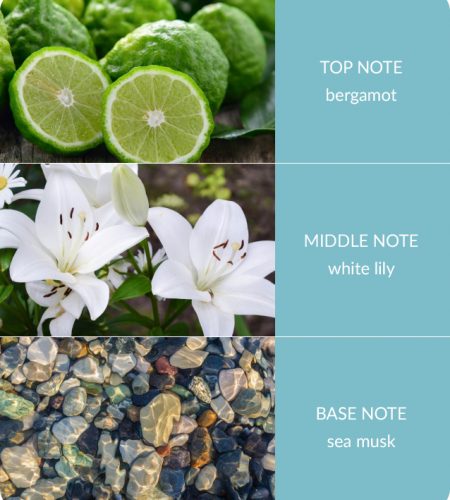Bamboo Reed Diffuser - Bergamot & Sea Musk - Image 3