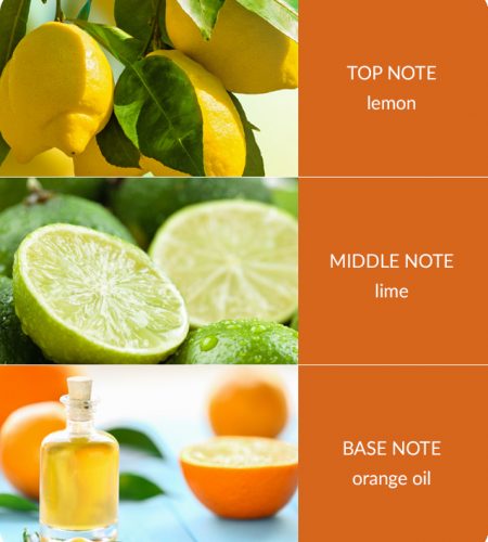 2 Wick Ellipse Candle - Citrus Crush - Image 4