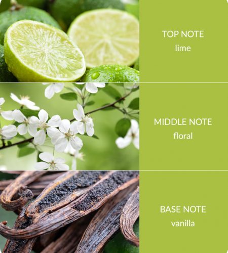 2 Wick Ellipse Candle - Lime Splash - Image 4