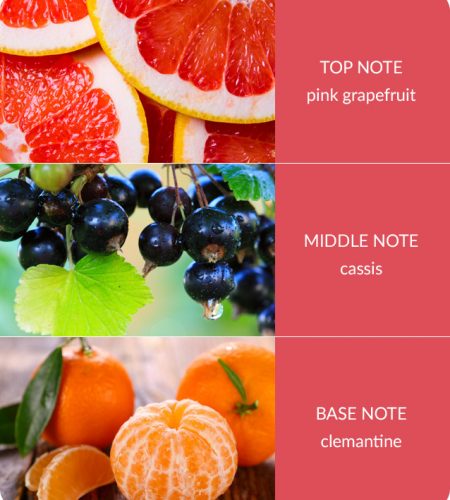 2 Wick Ellipse Candle - Pink Grapefruit & Cassis - Image 4