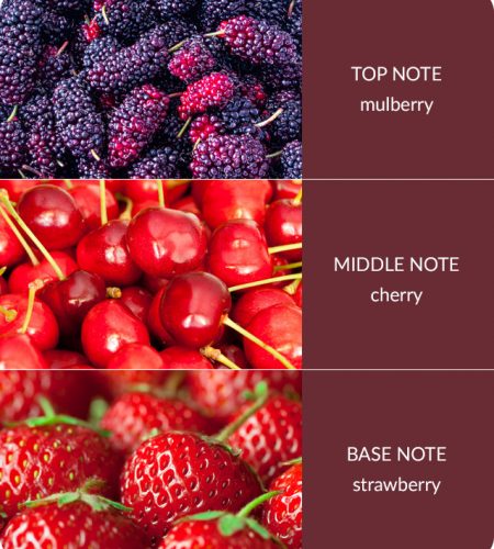 2 Wick Ellipse Candle - Simply Mulberry - Image 4