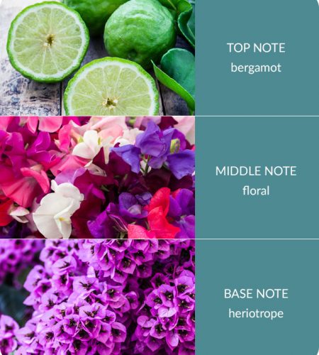 2 Wick Ellipse Candle - Sweet Pea - Image 4