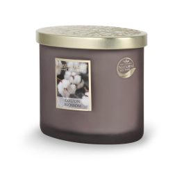 2 Wick Ellipse Candle - Cotton Blossom