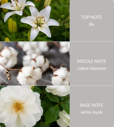 Reed Diffuser - Cotton Blossom - Image 3
