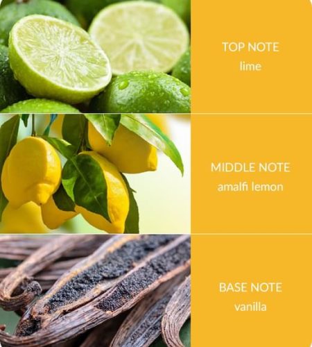 Reed Diffuser - Lemon Bliss - Image 3