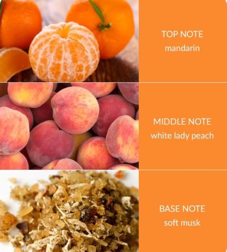 Reed Diffuser - Peach Passion - Image 3