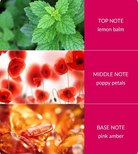 Reed Diffuser - With Love - Image 3
