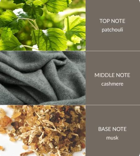 Reed Diffuser - Cashmere - Image 3
