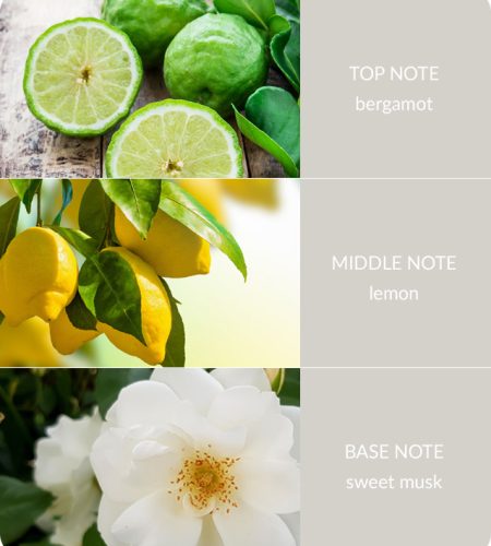 Reed Diffuser - Guardian Angel - Image 2