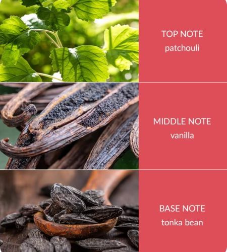 Reed Diffuser - True Enchantment - Image 3