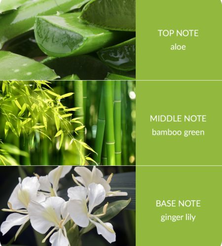 Bamboo Large Candle - Bamboo & Ginger Lily - Image 3