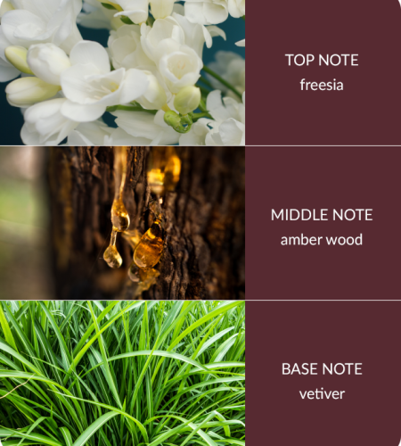 Bamboo Reed Diffuser - Amber Wood & Vetiver - Image 4