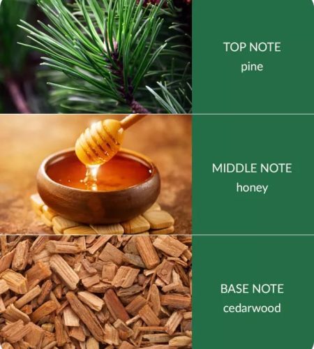 Bamboo Centrepiece Candle - Winter Pine & Cedarwood - Image 3
