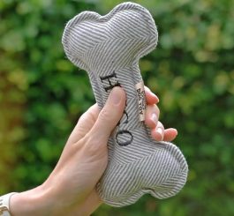 Squeaky Dog Toys