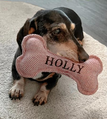 Squeaky Dog Toys - Image 3