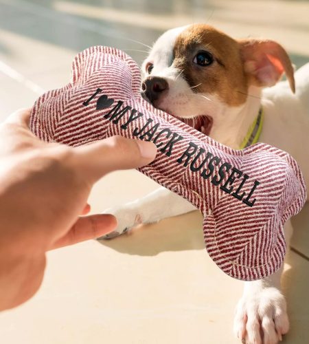 Squeaky Dog Toys - Image 4