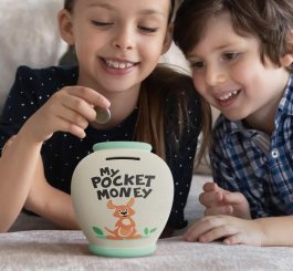 Smash Pot Moneybox