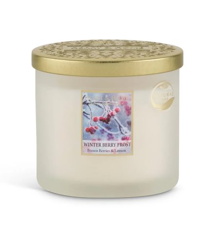 2 Wick Ellipse Candle - Winter Berry Frost - Image 2