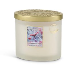 2 Wick Ellipse Candle - Winter Berry Frost