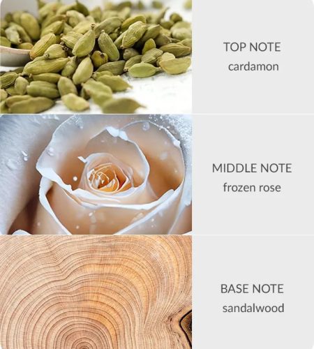 Bamboo Fragrance Diffuser - Frozen Woodland Walk - Image 2