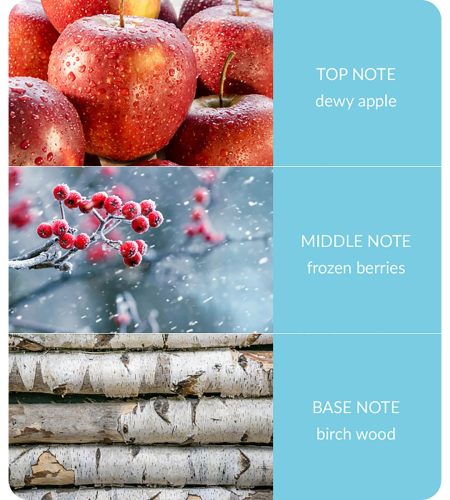 Fragrance Diffuser - Winter Berry Frost - Image 2