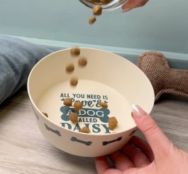 Dog Bowl