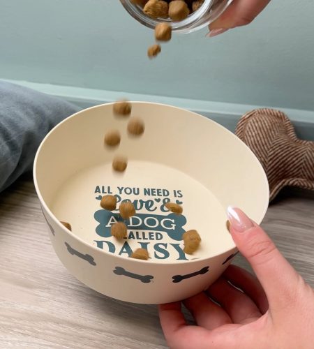 Dog Bowl