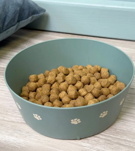 Dog Bowl - Image 2