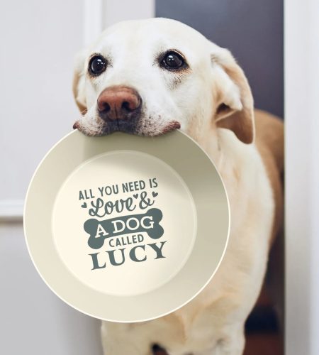 Dog Bowl - Image 3
