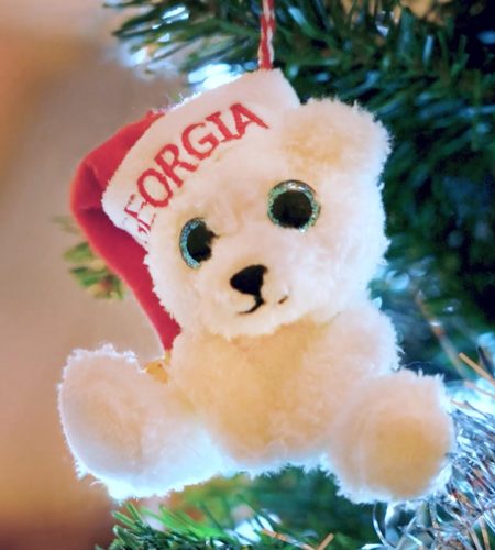 Christmas Bear