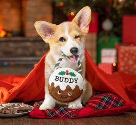 Christmas Pudding Dog Toy