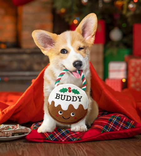 Christmas Pudding Dog Toy